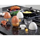 706494 12 Counter Scrambler Egg Ddi Display Case