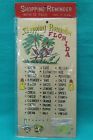 1950 Reminder Florida Pink Stock Century Shopping Mid Flamingos