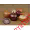 291066 Bulk Savings Onion Saver Floor Display Case Of 24