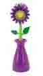 0266020 34681 Fresh Picked Kitchen Brush With Holder Boston Warehouse Purple 026602346810