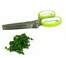 43188-81073 Allary Herb Scissors 750557012710
