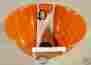 56602 Rrachael Ray Rachael Garbage All Purpose Bowl New Melamine Orange 51153