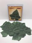 7104 Euroqurest Euroquest Imports Ivy