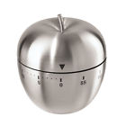 60-minute 7258 Oggi Apple Stainless Steel 764271072585