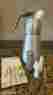 A48714 Brushed Aluminum Mastrad Nib 25 Liter 8.45 Oz Gourmet Cream Whipper Warm Cold 885902487148