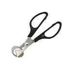 B075sg372f Faststorediy Amazing Kitchen Tool Small Eggs Stainless Steel 822445936641