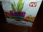 Fruit-plant-1 Smarthome Fruits Plant Multi Kitchen Tool Set Interior 707242709592