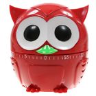 Kt36b-a Kikkerland Owl Timer Teacher