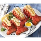 M6t10 Lobster Maine Oz Gram Tails 6-7 Ten M6t10 Lobster Maine Oz Gram Tails 6-7 Ten