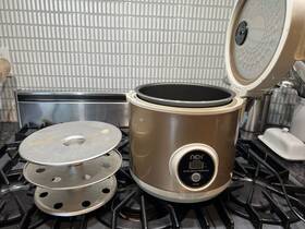 Sf-g100 Nex 6l Black Garlic Intelligent Fermenter