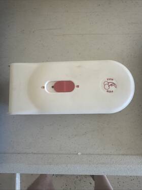 Progressive 078915045904 Cherry Pitter Prepworks