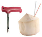 Redc Karma Kitchen Coconut Opener 817484020147