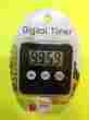 Tm-231 Redi Chek Digital Timer