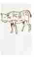 619625330 Tw015 Girls Can Tell Butcher Cow Diagram Floursack Towel White Cotton Shippin