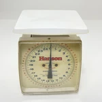 Vintage Hanson Utility Scale 25# Shubuta Usa Plastic White. Fixed Price $24.99.