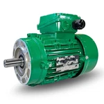 Hoyer Motors MS802-4 Electric IP55 0.7/0.9 Kw Read Minor Cosmetic Damage. Fixed Price $559.96.