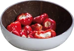 New Swiss Advance Mono Coconut Bowl 30285WHITE. Fixed Price $14.37.