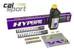 Hyperpro Progressive Front Fork Spring Kit Triumph Street Cup 2016-2019. Fixed Price $174.12.