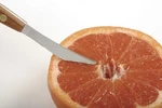 Norpro 1270 Twin Blades Grapefruit Knife, 8 Inch,. Fixed Price $10.89.