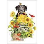 Mary Lake-thompson Sunflower Black Lab In The Garden Flour Sack Kitchen Towel. Fixed Price $12.50.