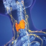 The Brigham Board Review And Comprehensive Update Endocrinology 2025. Fixed Price $299.99.