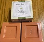 New Old Stock Terracotta Tea Forte Ceramic Trays Coasters SET/2. Fixed Price $18.99.