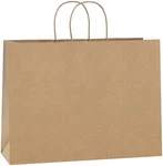 Paper Shopping Bags 250 Natural Kraft 16" X 12" Retail Merchandise Handles. Fixed Price $79.95.