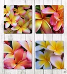 Frangipani Drink Coasters Set Of Four Neoprene. Fixed Price $7.95.