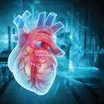Oakstone The Brigham Board Review And Comprehensive Update In Cardiology 2025. Fixed Price $297.00.