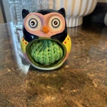 Owl Scrubby/sponge Holder Boston Warehouse Trading 4.5 With New. Fixed Price $13.00.