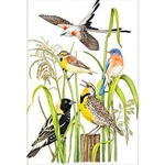 Mary Lake-thompson Birds In Meadow Grasses Flour Sack Kitchen Towel. Fixed Price $12.50.