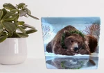 Paperproducts Bear Reflected Square Plate Two Can Art Design Nature Inspired. Fixed Price $13.99.