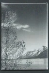 Ansel Adams *2X3 Fridge Magnet* American Landscape Photographer Mountains Stream. Fixed Price $9.95.