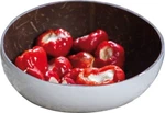 Swiss Advance Mono Coconut Bowl White Polished Natural Suitable For Hot Food. Fixed Price $9.89.