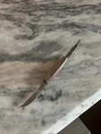 Norpro Squirtless Double Stainless Steel Blade Grapefruit Slicing Knife. Fixed Price $5.00.