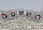 Dale Earnhardt, Jr. #8 Nascar Driver Shot Glasses Frosted 2.25 Set Of. Fixed Price $12.00.