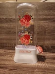 Pioneer Woman Sweet Rose Floral Plastic Herb Keeper 2.9" X 6.2"L 10.7"H. Fixed Price $15.00.