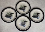 Folkcraft Loon Lake By Scotty Z Stoneware Set Of 4 Salad Plates 8 1/2". Fixed Price $29.95.