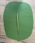 Charles Viancin Banana Leaf Silicone Lid Food Storage And Cooking 16 X 12. Fixed Price $15.00.