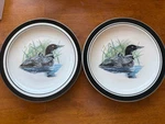 Loon Lake Scotty Z Salad Plate 8.5" Folkcraft Stoneware Set Of 2. Fixed Price $18.00.