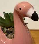 Cute Pink Flamingo Succulent Planter Unique Animal-shaped Pot For Home Garden. Fixed Price $16.99.