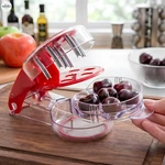 Cherry Pitter Tool 6 Remover Stainless Steel Olive Red. Fixed Price $6.99.