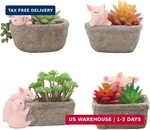 Pot Cute Piggy Succulent Planter Home Desk Office Fairy Garden Decorat. Fixed Price $35.92.