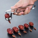 Fruit Remover Core Tool Corrosion Resistant Cherry Olive Pitter Stoner Pits Seed. Fixed Price $71.30.