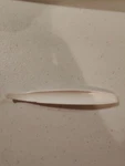 Vintage Tupperware Lettuce Corer Citrus Grapefruit Knife Gadget #885 Free Ship!!. Fixed Price $9.99.