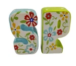 Boston Warehouse Floral Salt & Pepper Shakers Hand Painted Ceramic. Fixed Price $16.97.