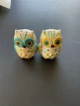 Floral Owl Salt & Pepper Shakers, Hand-painted Ceramic By Boston Warehouse. Fixed Price $9.95.