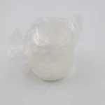The Pampered Chef 1778 Easy Accent Decorator Replacement Tube Barrel Clear Cap. Fixed Price $7.19.