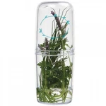 Norpro Herb Saver. Fixed Price $18.20.