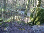 Photo 12X8 Falling Into The Stream Edford Some Old Iron Fencing Seems C2016. Fixed Price $8.04.